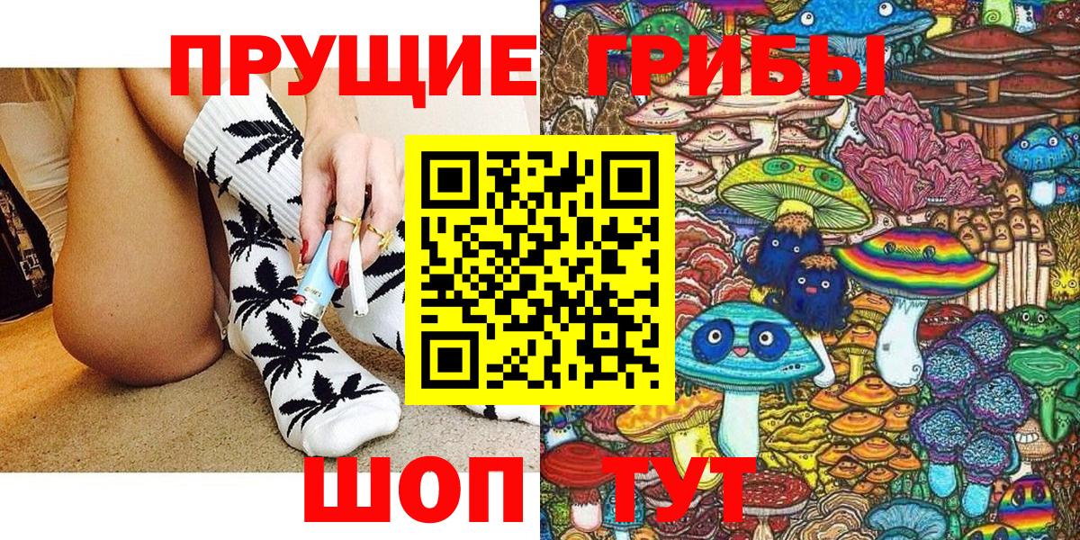 Петрозаводск  Псилоцибиновые грибы Psilocybine cubensis  Вход с VPN 